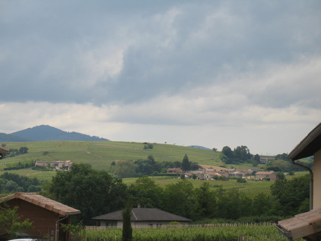 Les Glycines - Domaine Gilles Coperet Bed & Breakfast Régnié Bagian luar foto