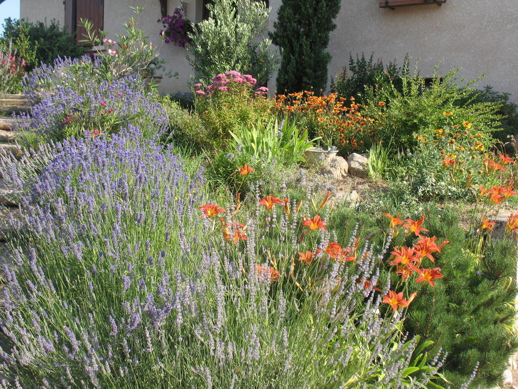 Les Glycines - Domaine Gilles Coperet Bed & Breakfast Régnié Bagian luar foto